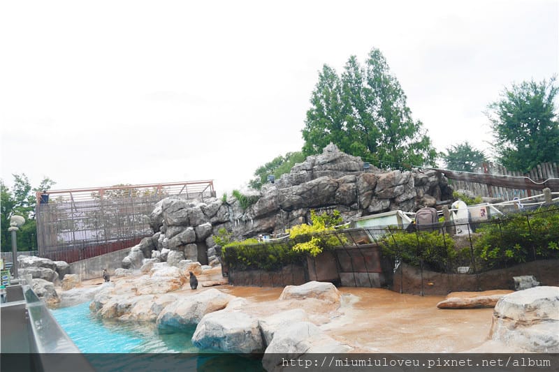 P1470014_副本.jpg P1470014_副本.jpg