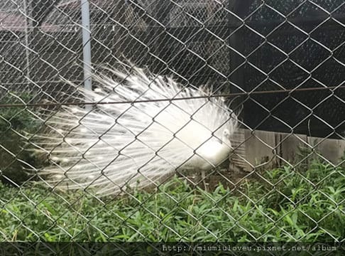 IMG_3570_副本.jpg IMG_3570_副本.jpg