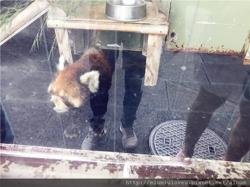 IMG_3577_副本.jpg IMG_3577_副本.jpg