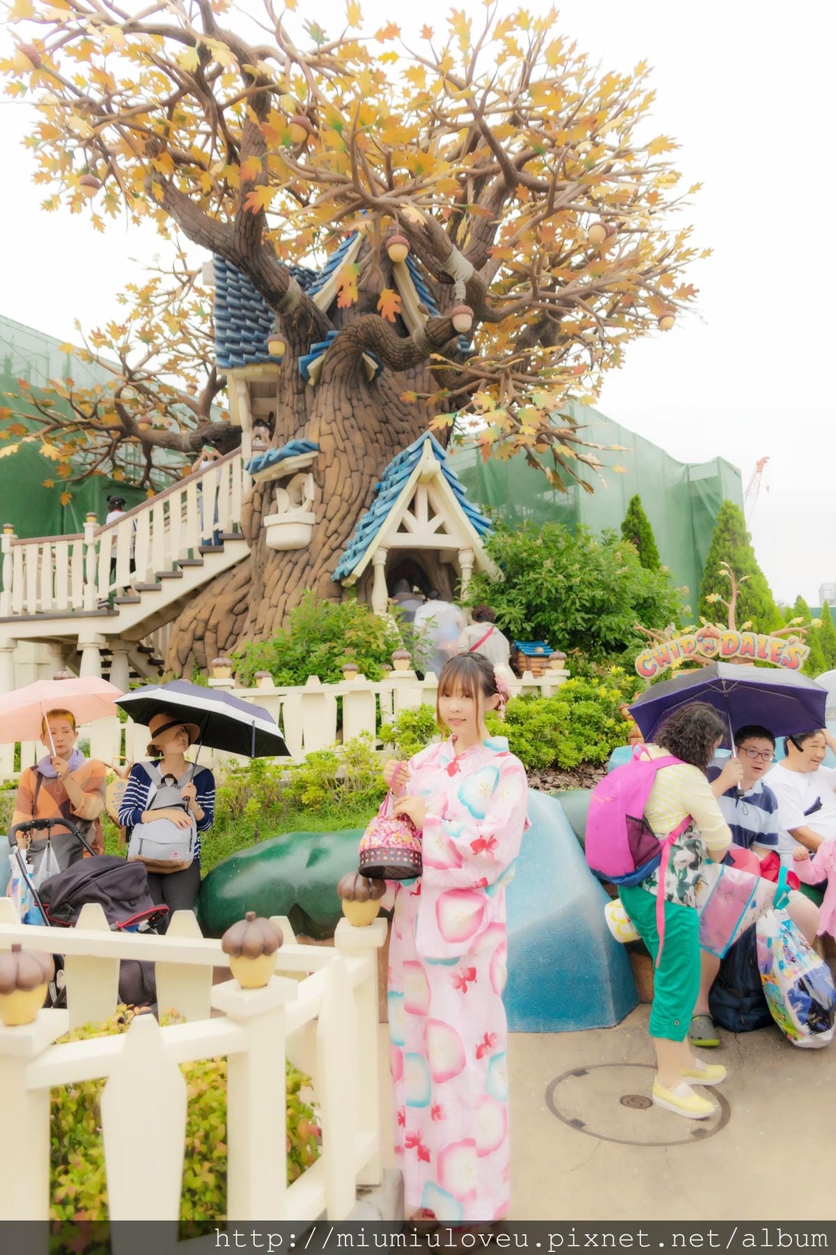 DSC00861_爱奇艺_副本.jpg DSC00861_爱奇艺_副本.jpg