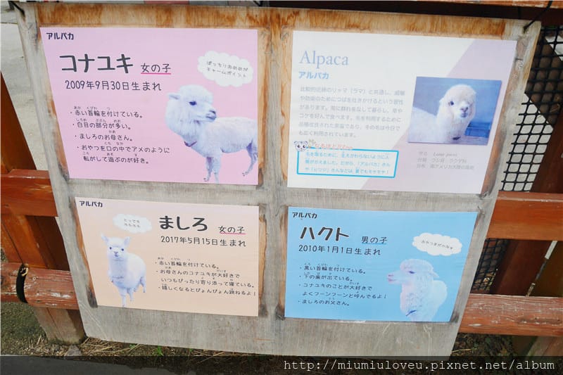 P1470005_副本.jpg P1470005_副本.jpg