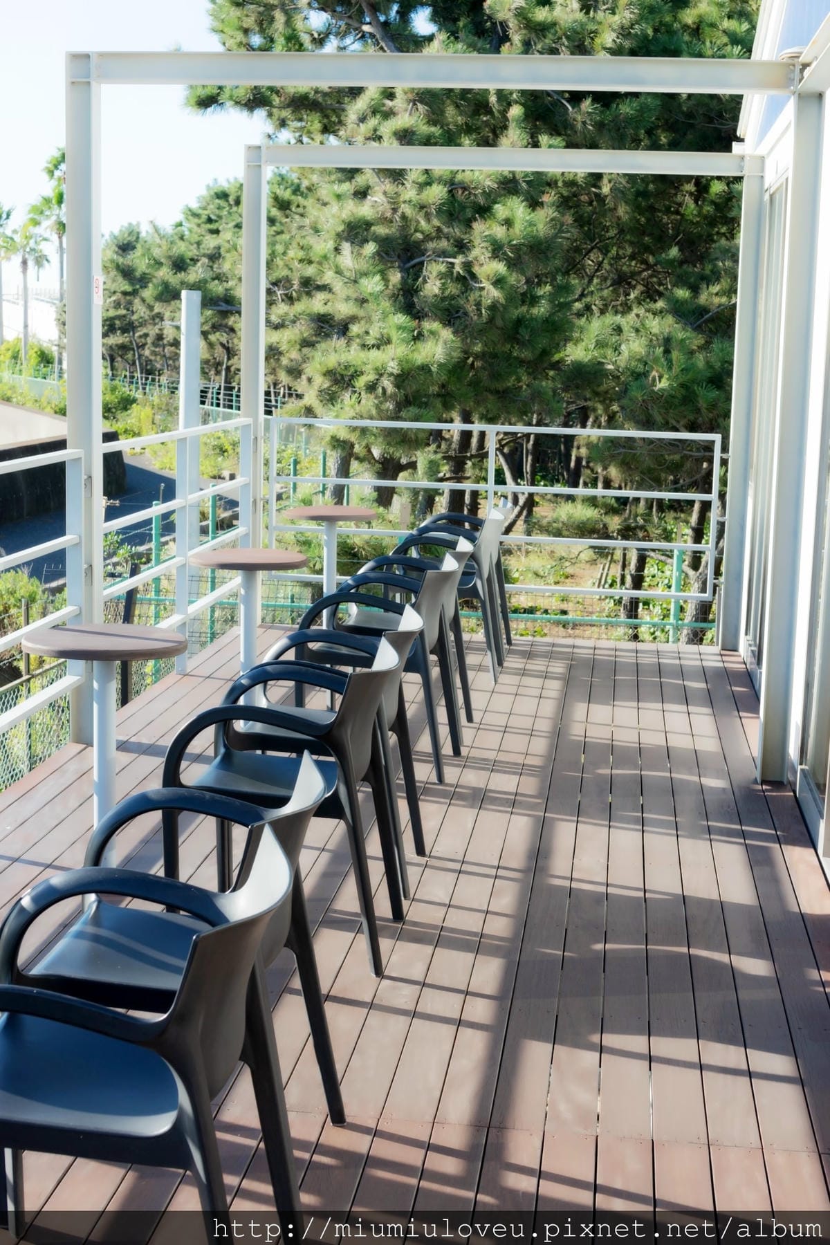 DSC01977.jpg DSC01977.jpg