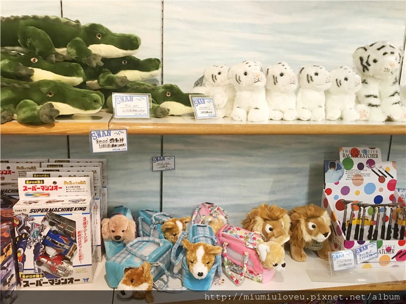 IMG_3664_副本.jpg IMG_3664_副本.jpg