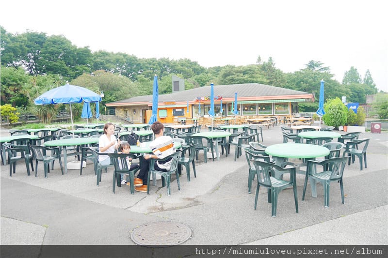 P1460946_副本.jpg P1460946_副本.jpg