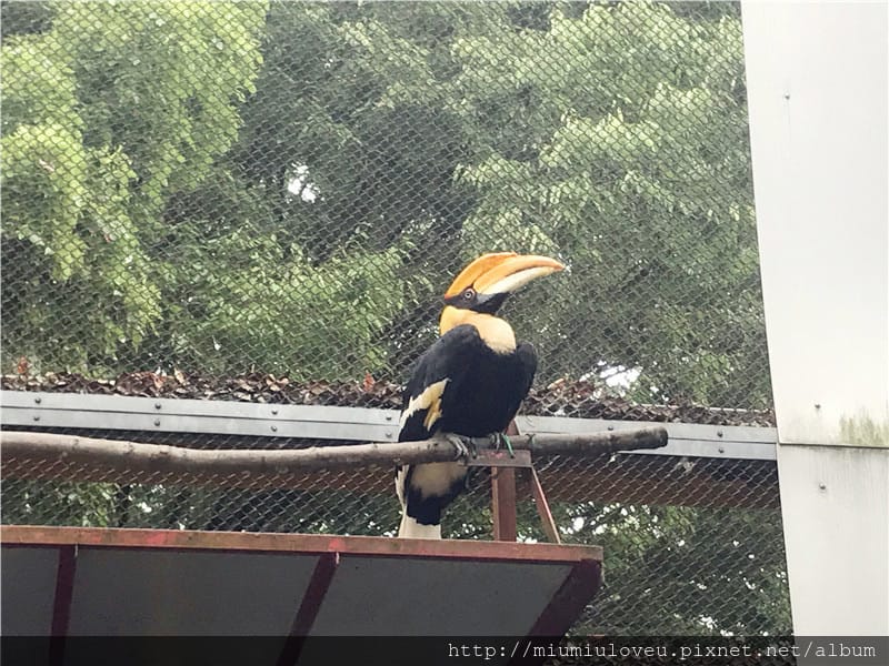 IMG_3580_副本.jpg IMG_3580_副本.jpg