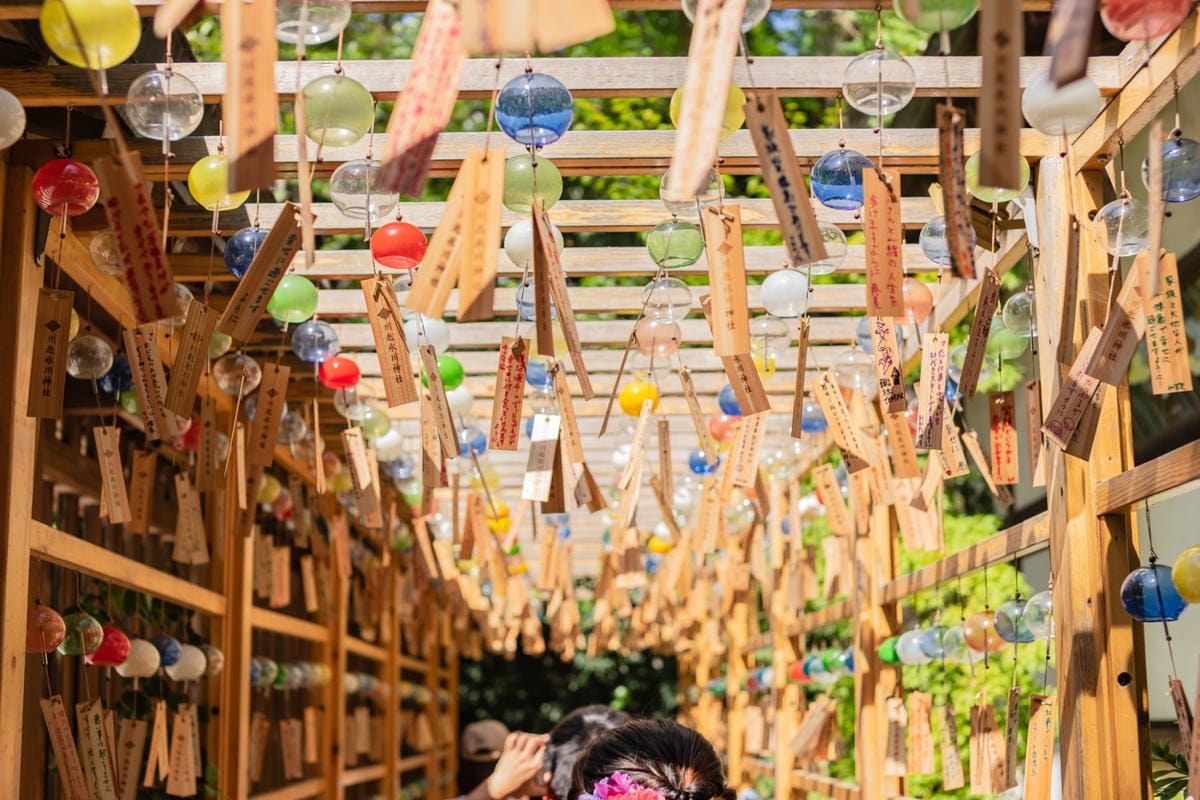 20180909川越風鈴祭_180911_0004_副本.jpg 20180909川越風鈴祭_180911_0004_副本.jpg