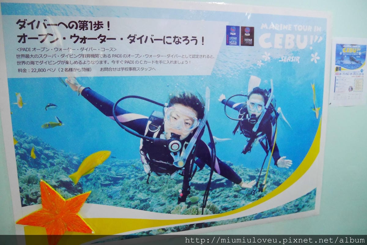 P1510908_副本.jpg P1510908_副本.jpg