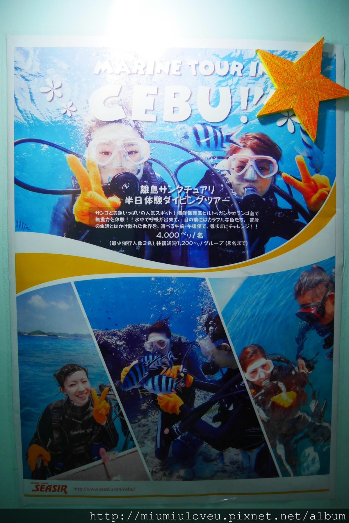 P1510905_副本.jpg P1510905_副本.jpg