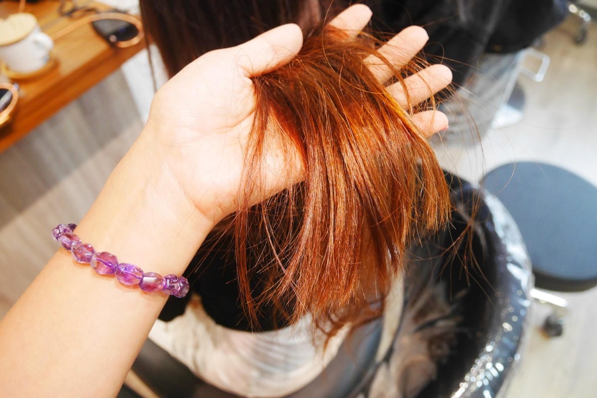 P1540376_副本.jpg P1540376_副本.jpg