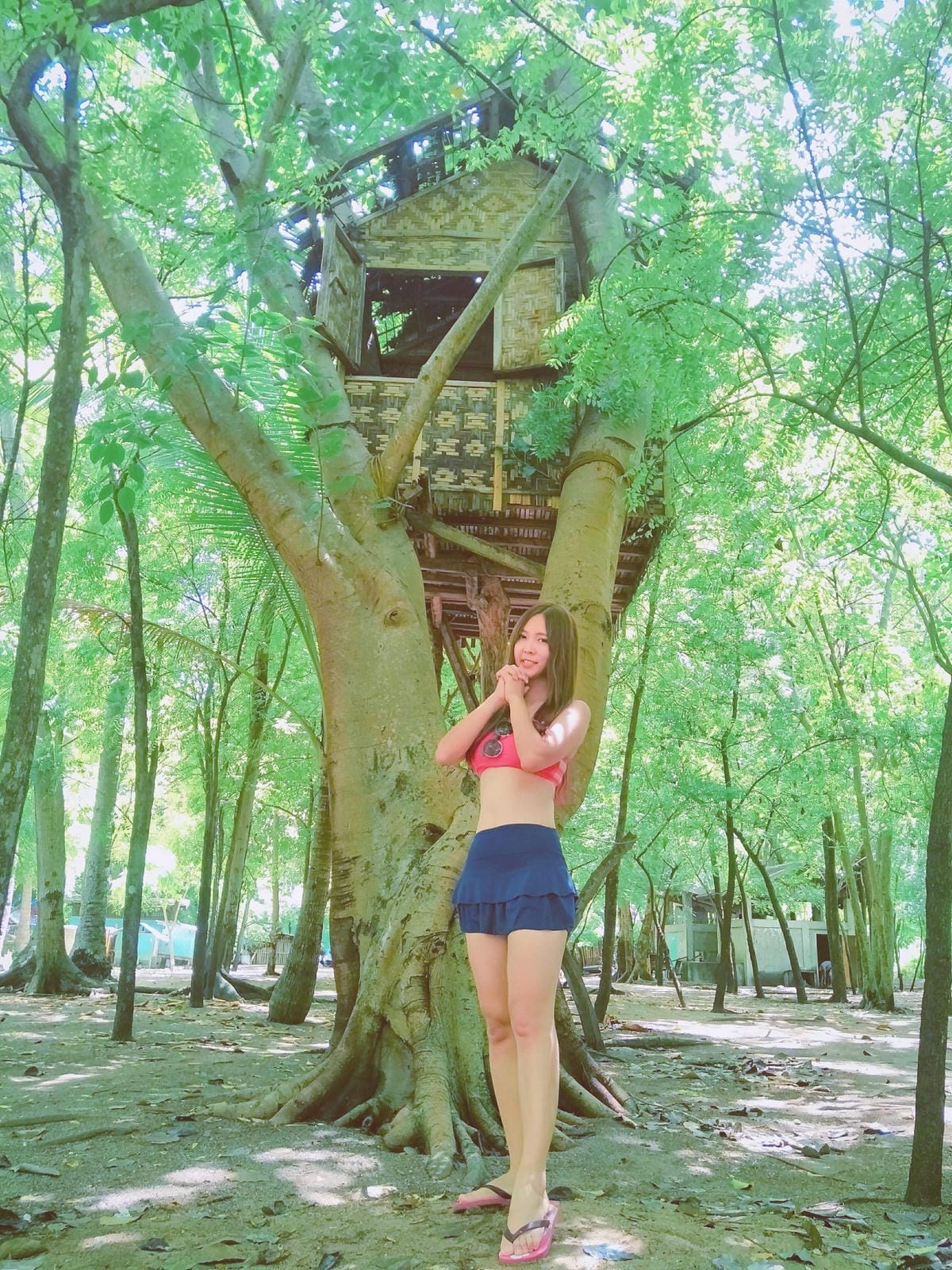 IMG_0785.JPG IMG_0785.JPG