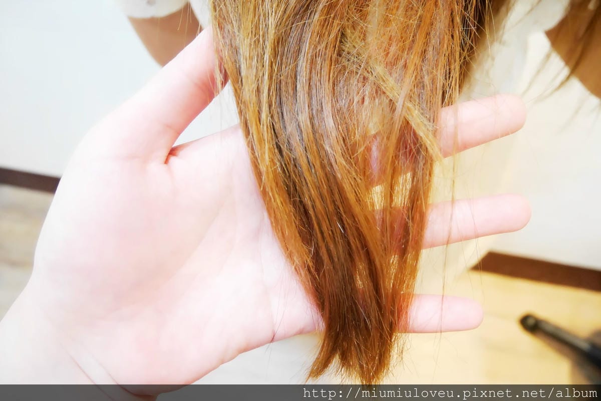 P1550396_副本.jpg P1550396_副本.jpg