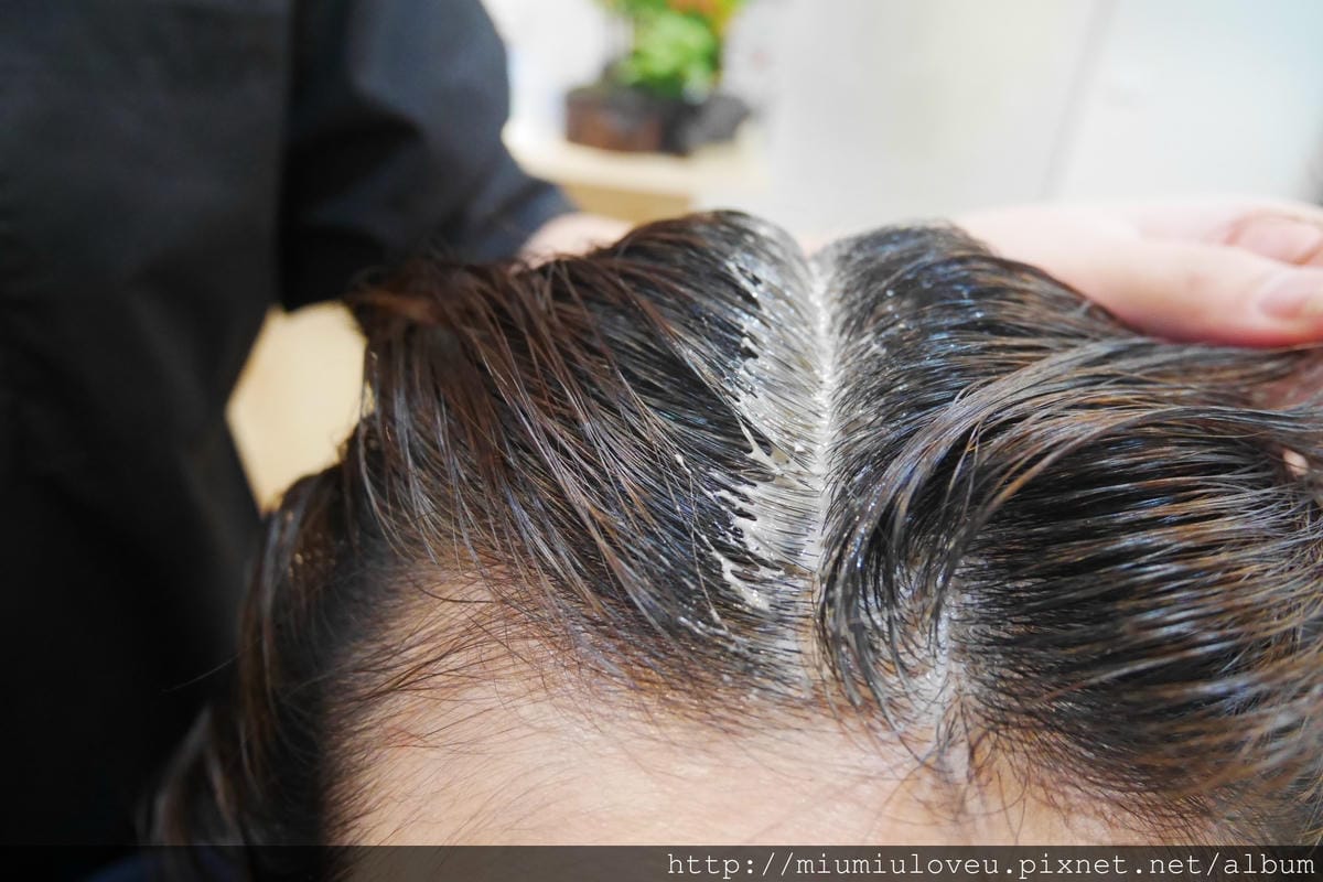 P1550417_副本.jpg P1550417_副本.jpg