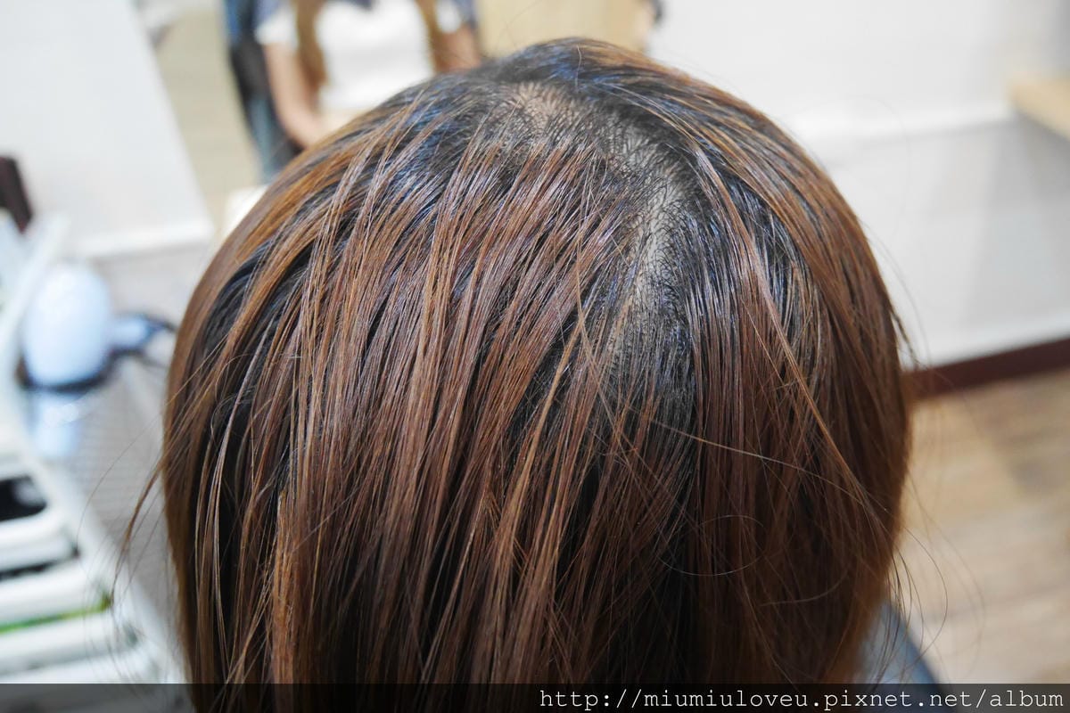 P1550402_副本.jpg P1550402_副本.jpg