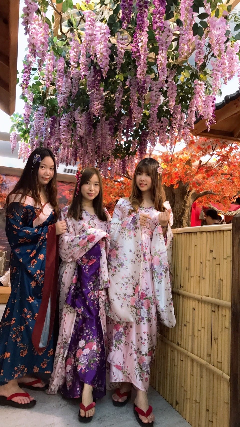 20190302宏野不二村_190303_0029_副本.jpg 20190302宏野不二村_190303_0029_副本.jpg