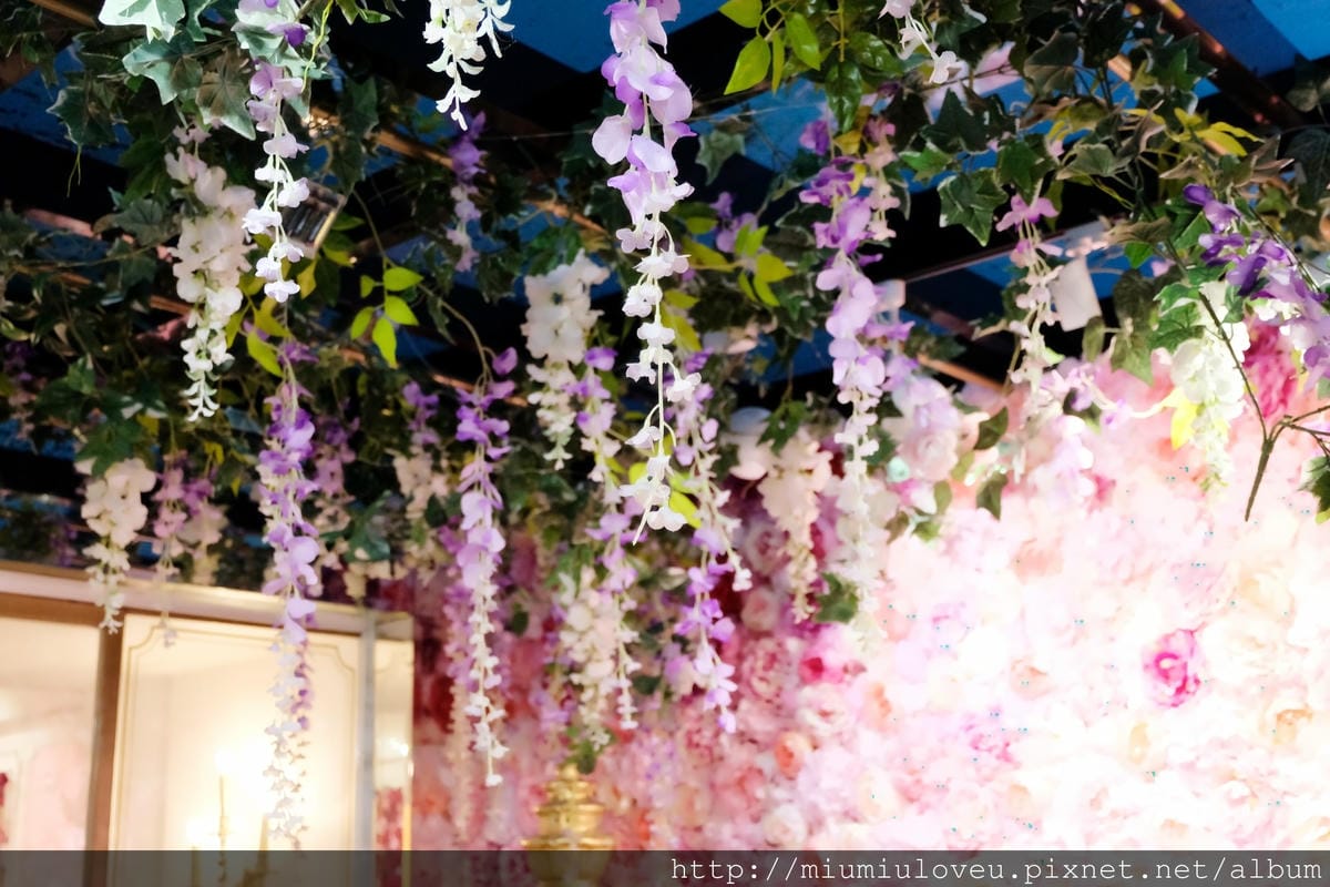 DSCF4471_副本.jpg DSCF4471_副本.jpg