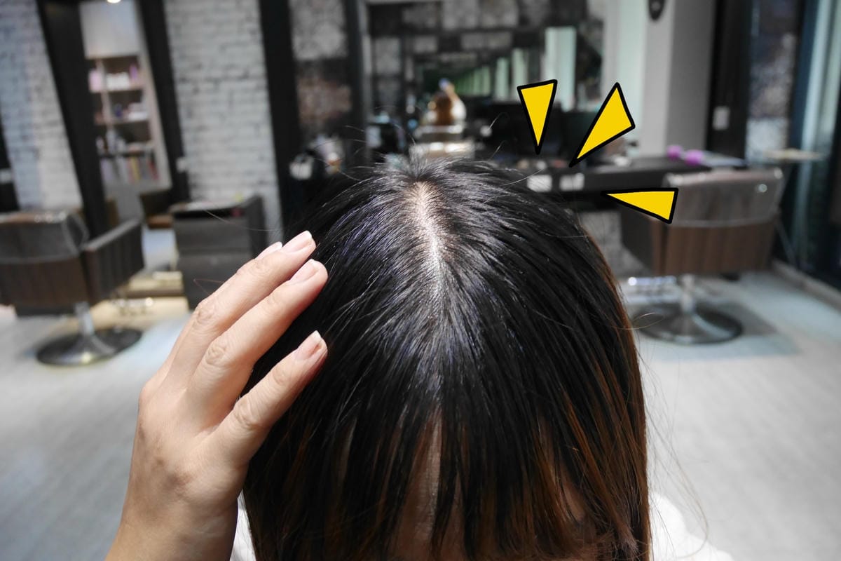 P1580057_副本.jpg P1580057_副本.jpg