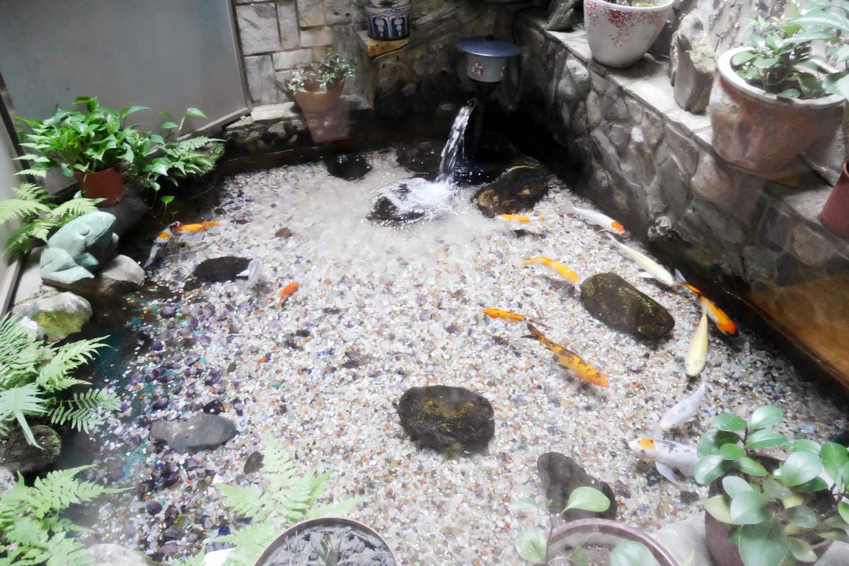 P1570747_副本.jpg P1570747_副本.jpg