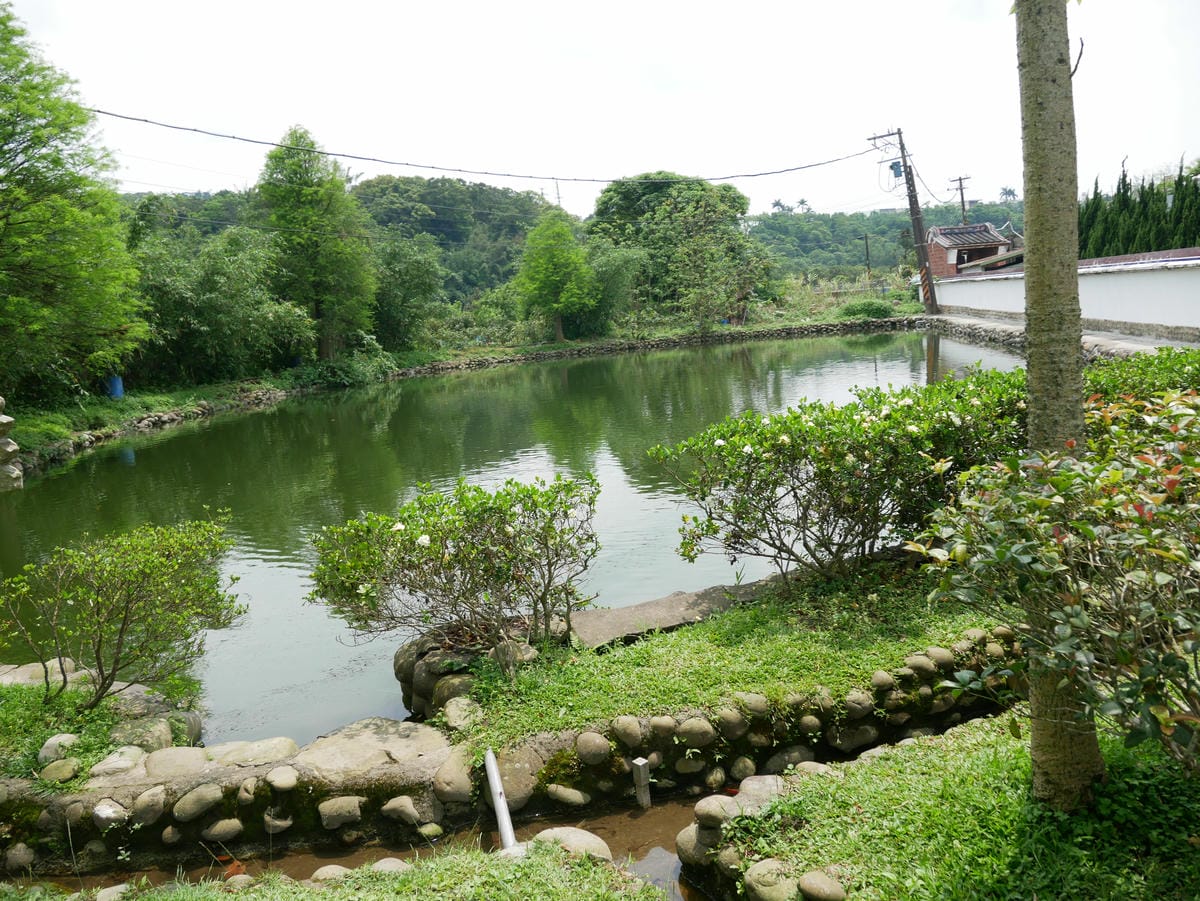 P1010087.JPG P1010087.JPG