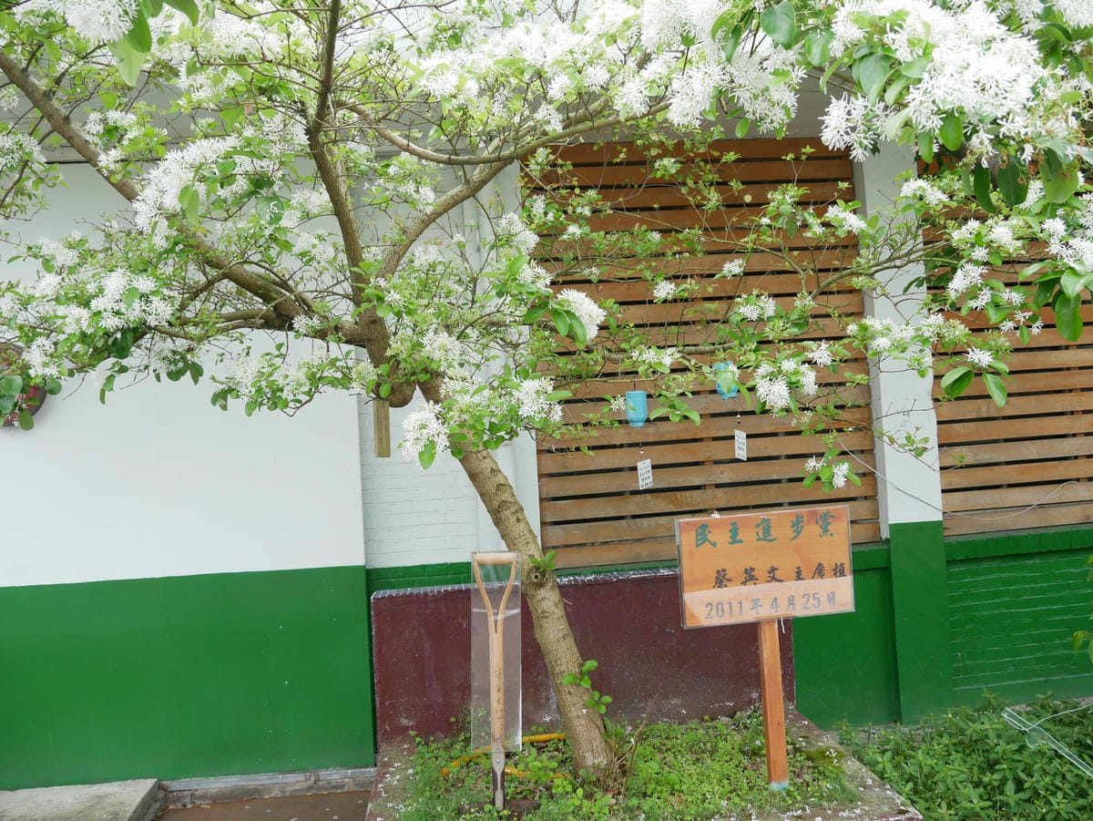 P1010010.JPG P1010010.JPG