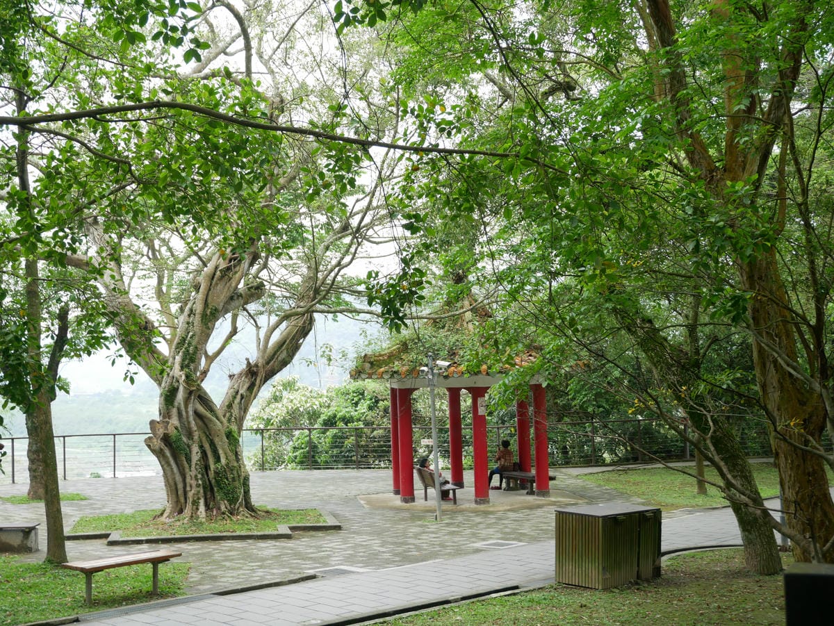 P1000779.JPG P1000779.JPG