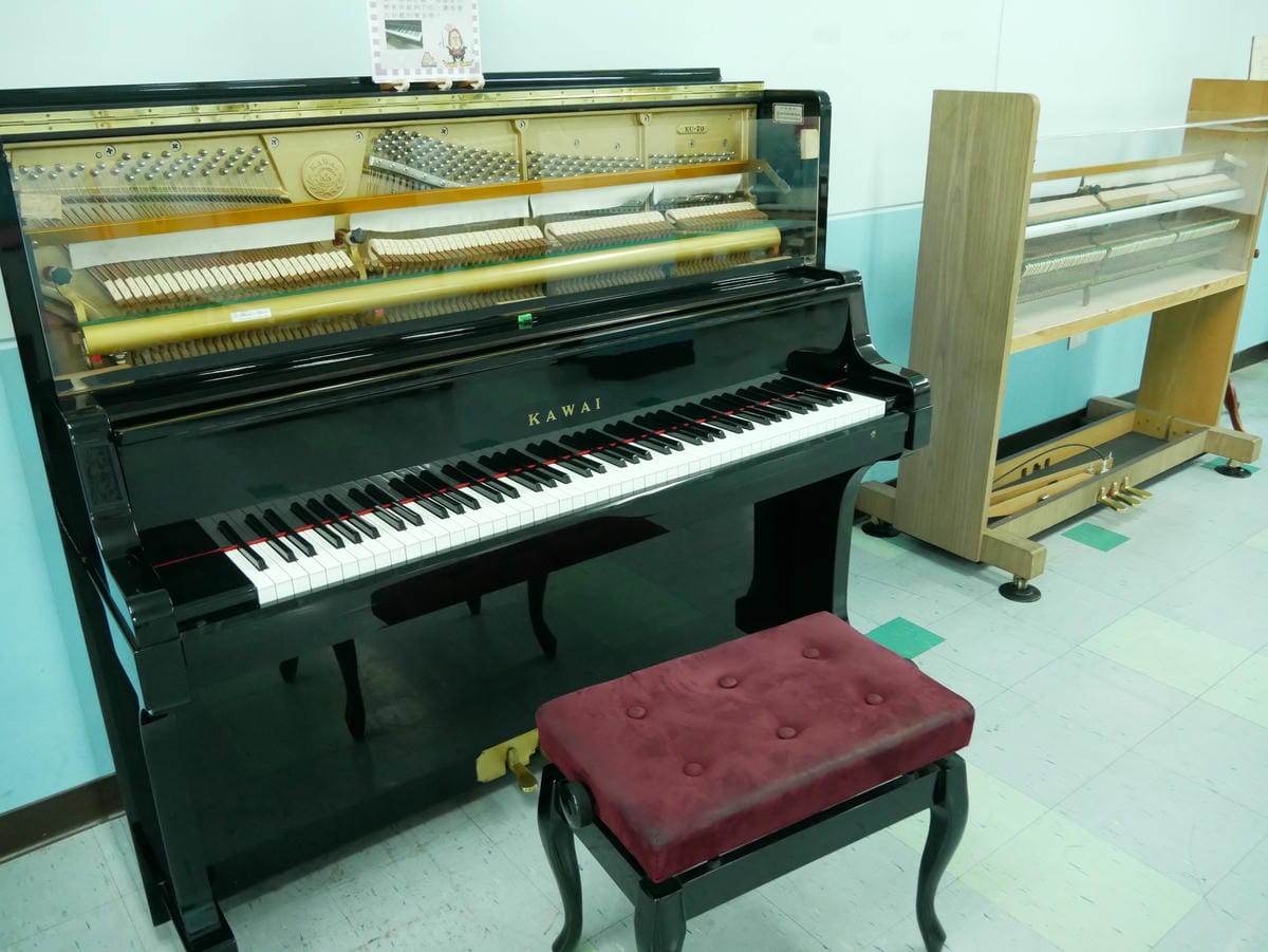 P1000996.JPG P1000996.JPG