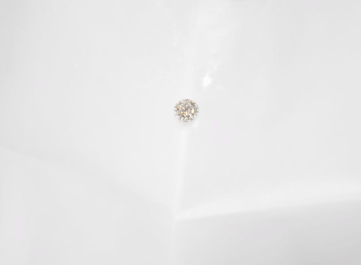 P1560055_副本.jpg P1560055_副本.jpg