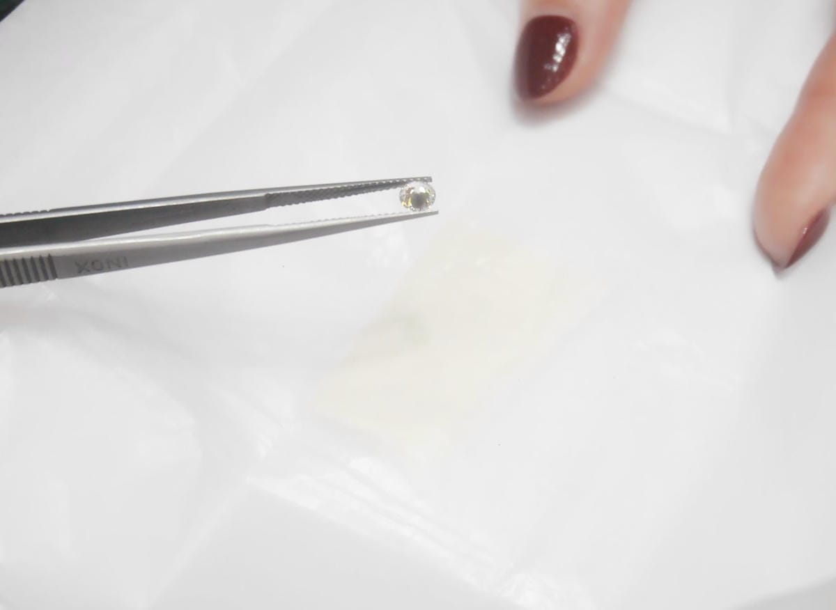 P1550988_副本.jpg P1550988_副本.jpg