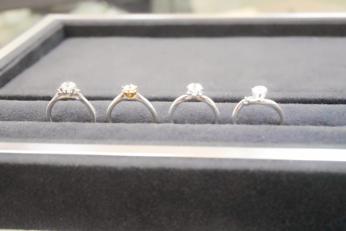 P1560095_副本.jpg P1560095_副本.jpg