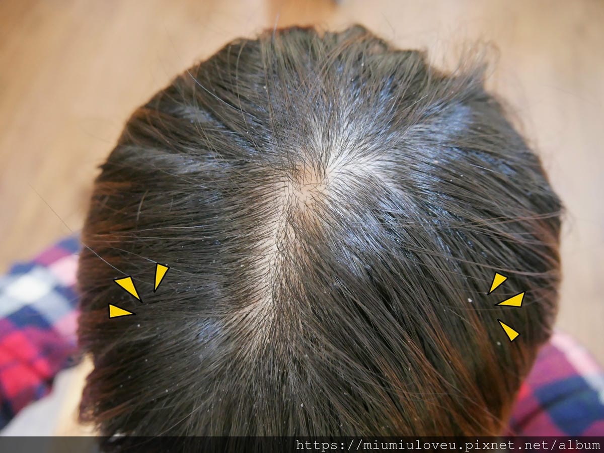 P1420221_副本.jpg P1420221_副本.jpg