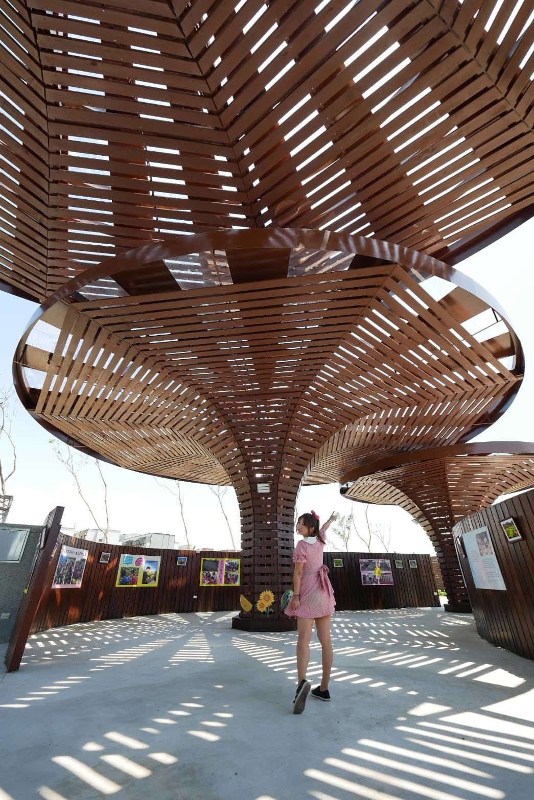 IMG_1437.JPG IMG_1437.JPG