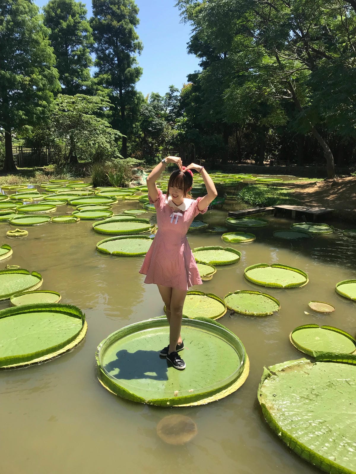 IMG_1376.JPG IMG_1376.JPG