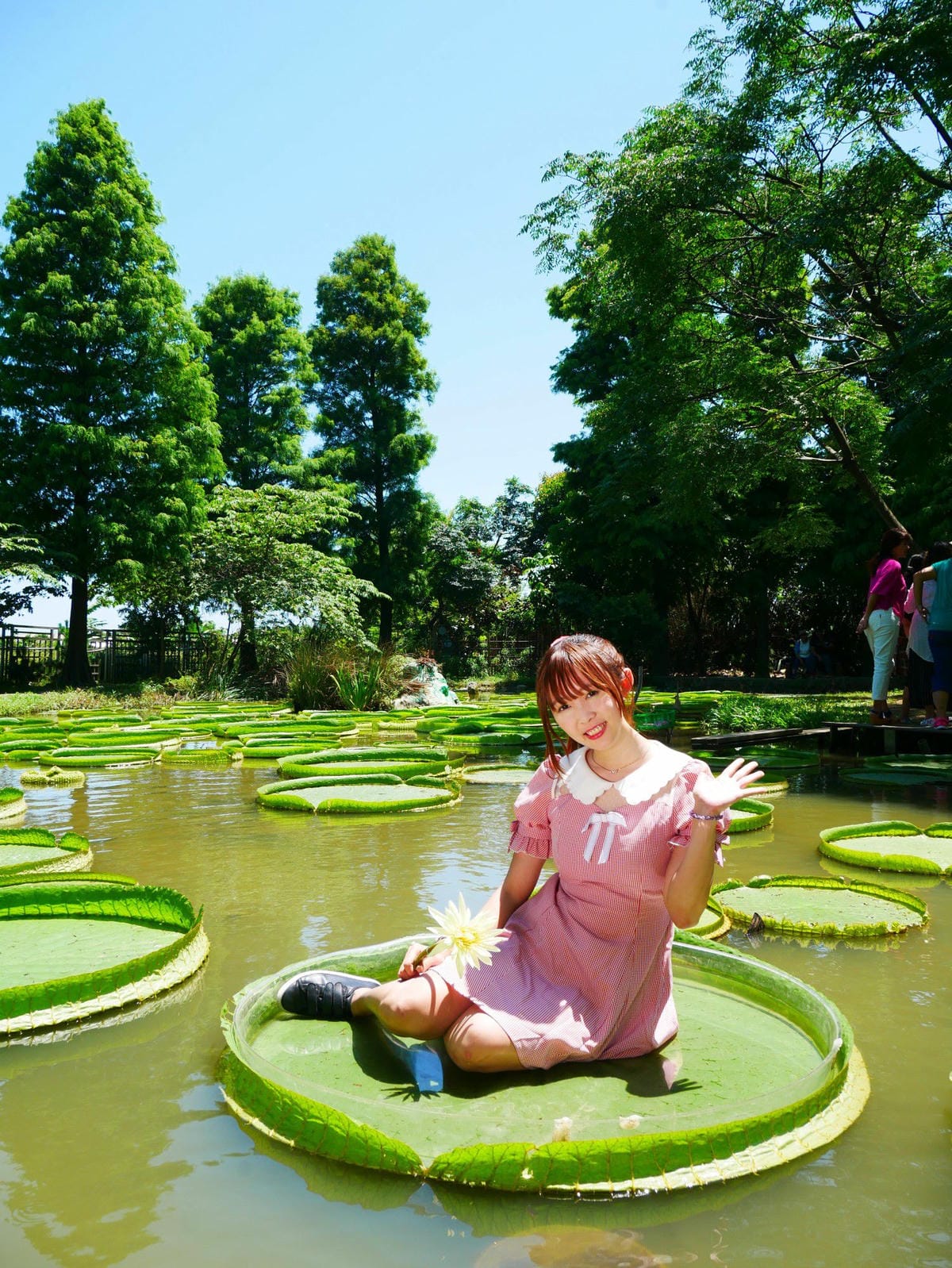 P1070932_副本.jpg P1070932_副本.jpg