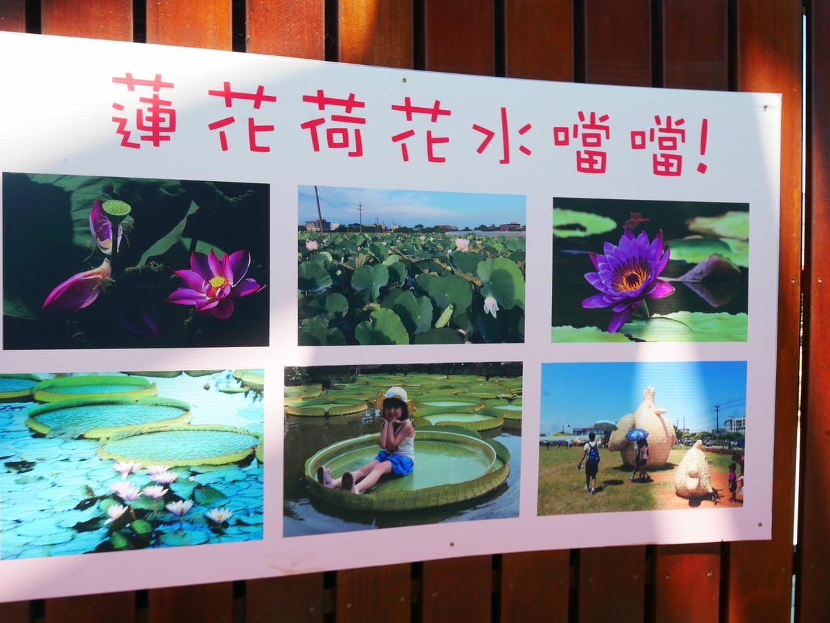 P1080412.JPG P1080412.JPG