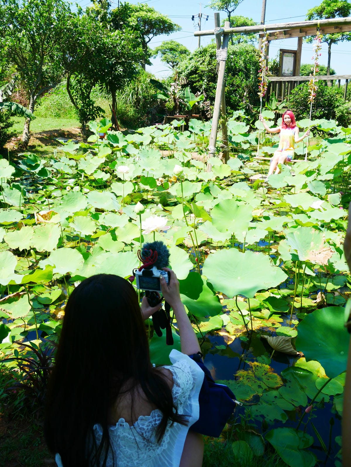 P1070812.JPG P1070812.JPG