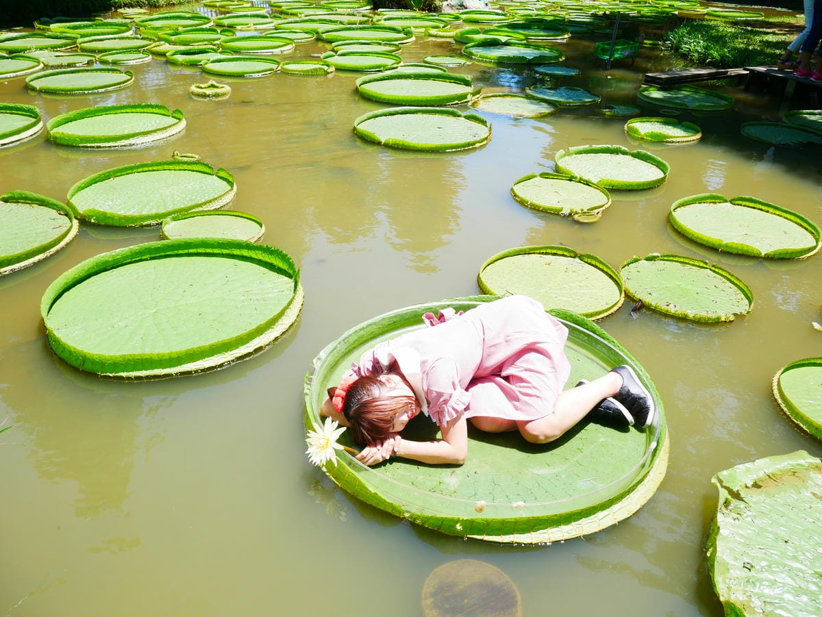 P1070946.JPG P1070946.JPG