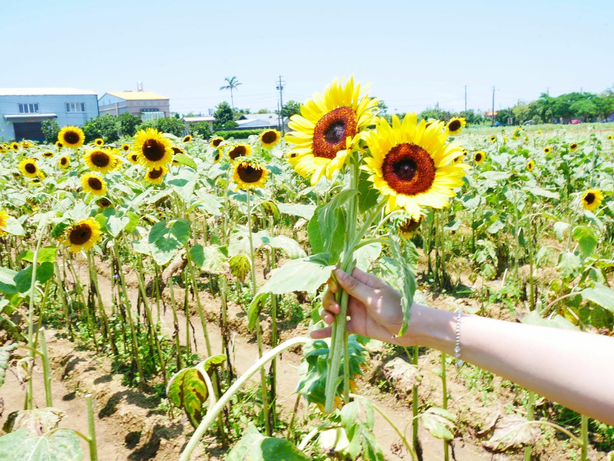 P1080181.JPG P1080181.JPG