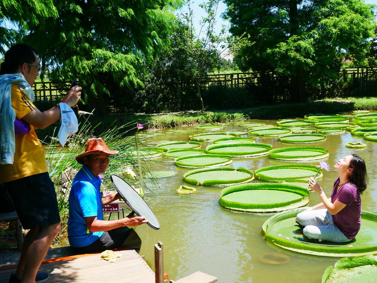 P1070971.JPG P1070971.JPG