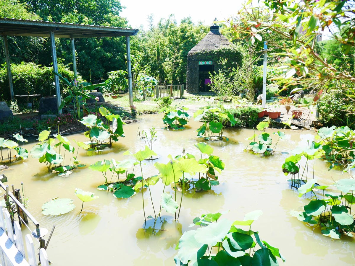 P1070754.JPG P1070754.JPG