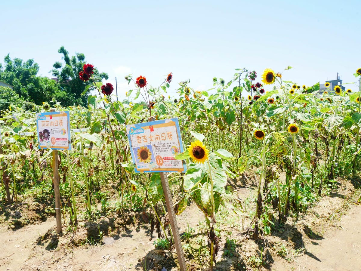 P1080212.JPG P1080212.JPG