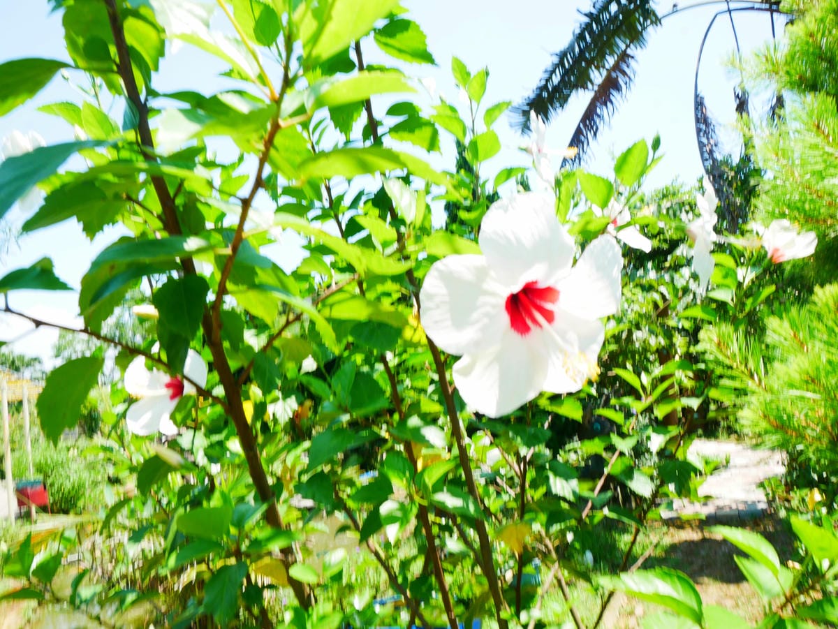 P1080329.JPG P1080329.JPG