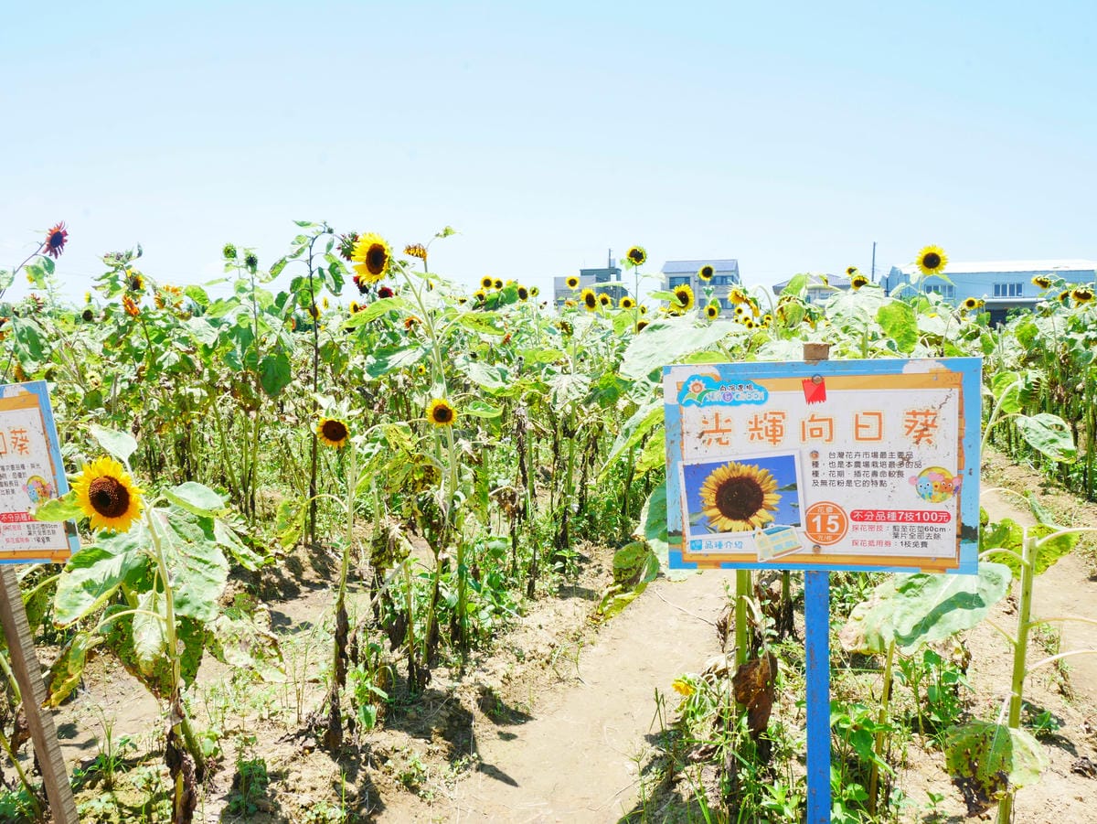 P1080209.JPG P1080209.JPG