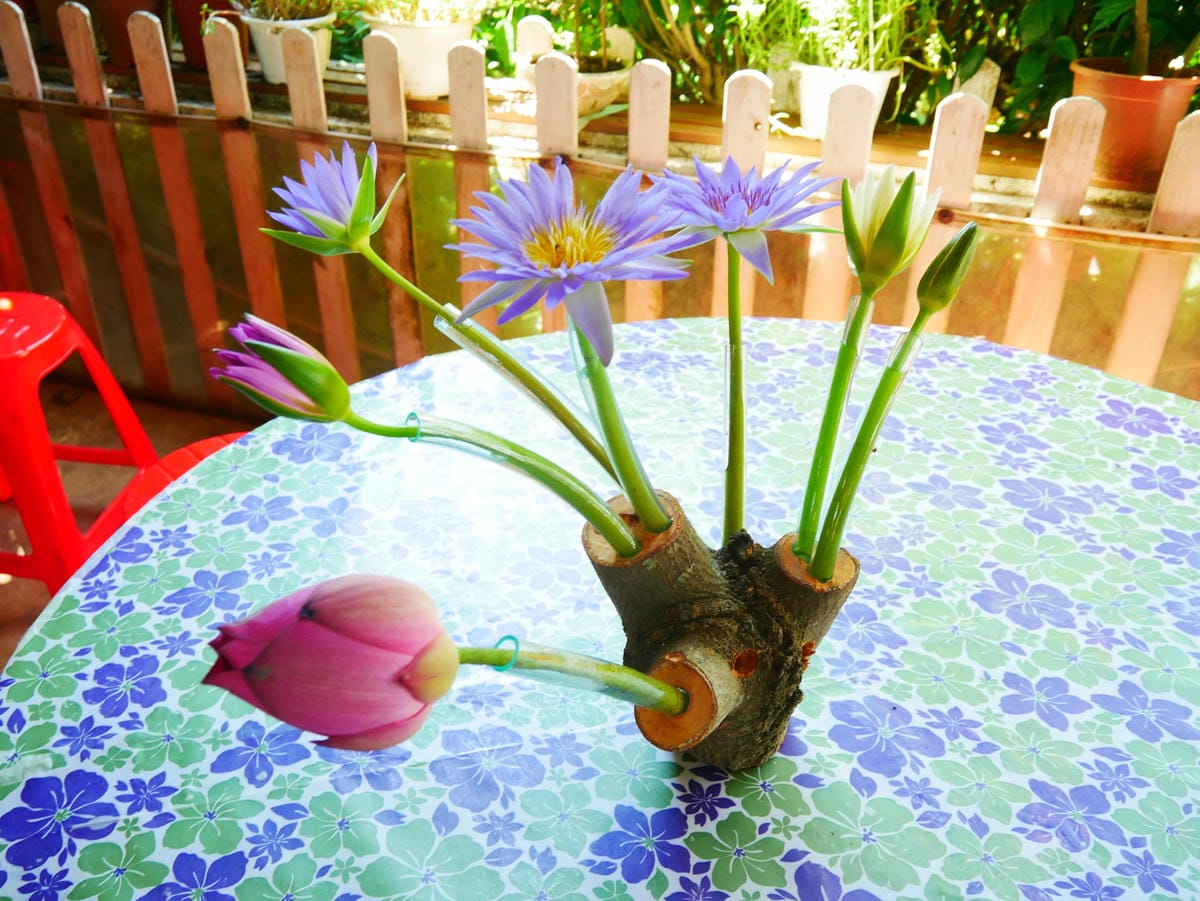 P1070742.JPG P1070742.JPG