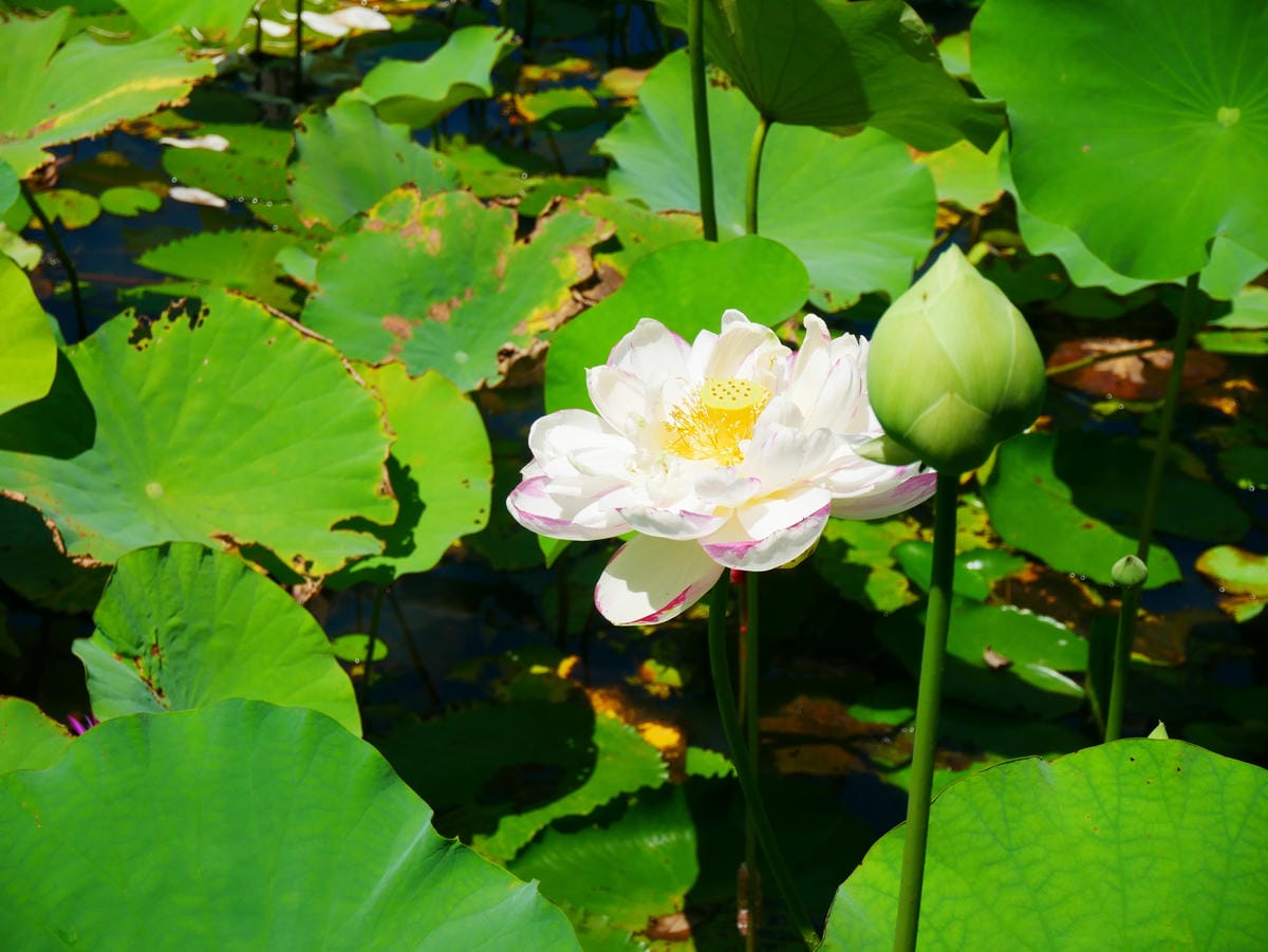 P1070806.JPG P1070806.JPG