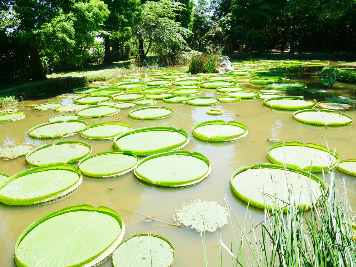 P1070871.JPG P1070871.JPG