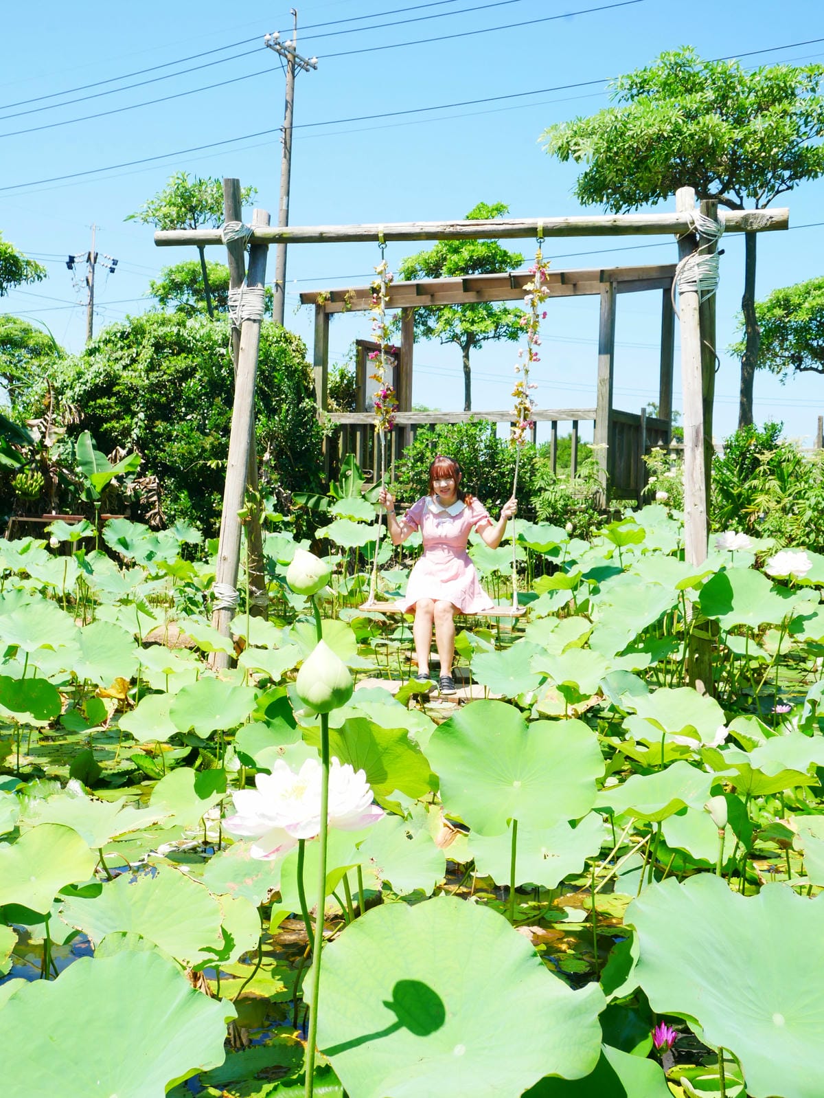 P1070832.JPG P1070832.JPG