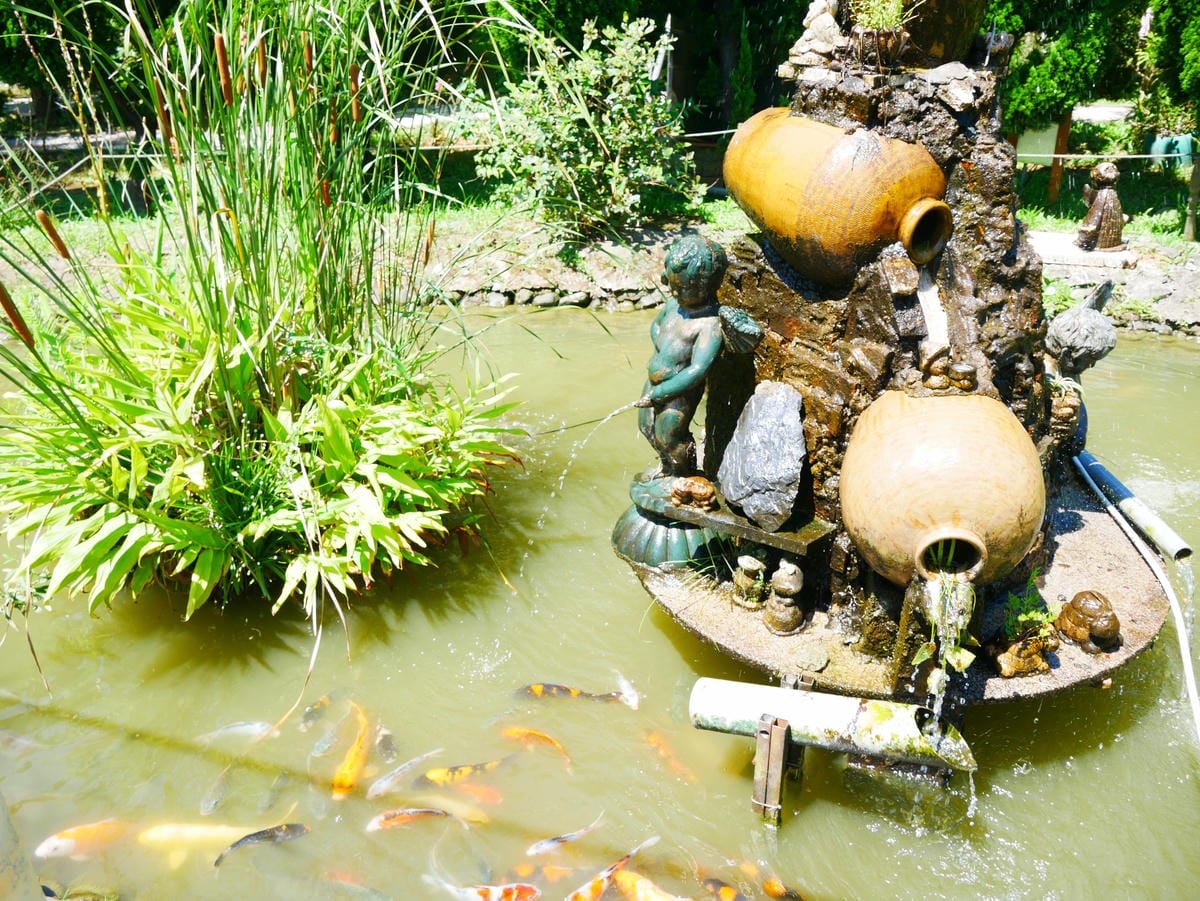 P1070790.JPG P1070790.JPG