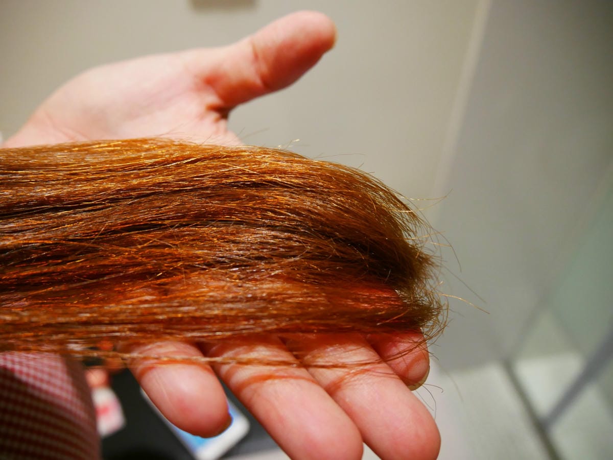 P1080866_副本.jpg P1080866_副本.jpg