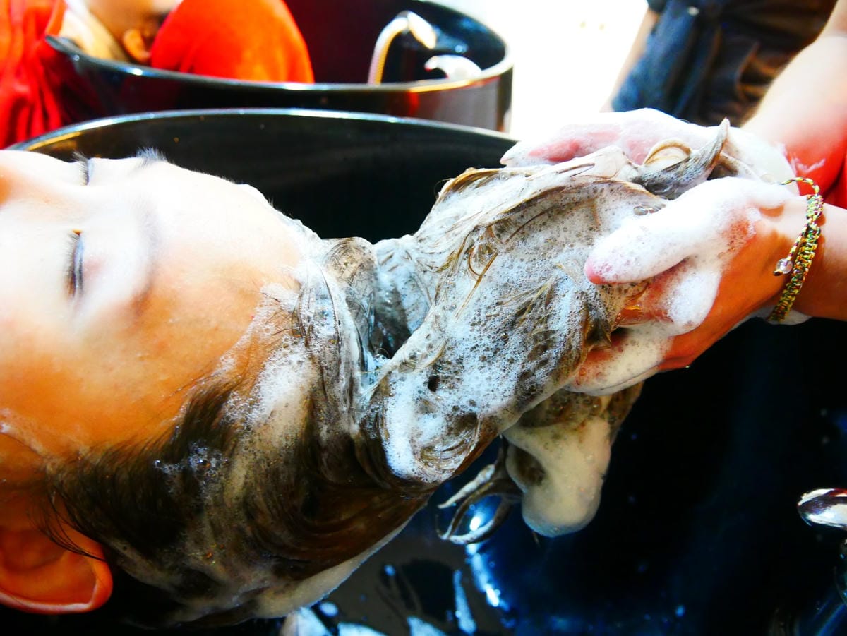 P1110377_副本.jpg P1110377_副本.jpg