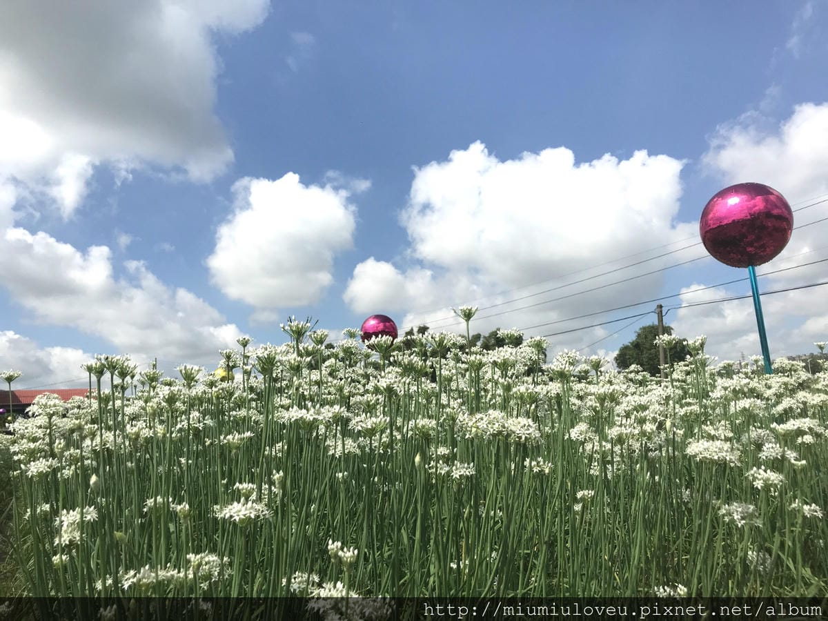 IMG_4554_meitu_48.jpg IMG_4554_meitu_48.jpg