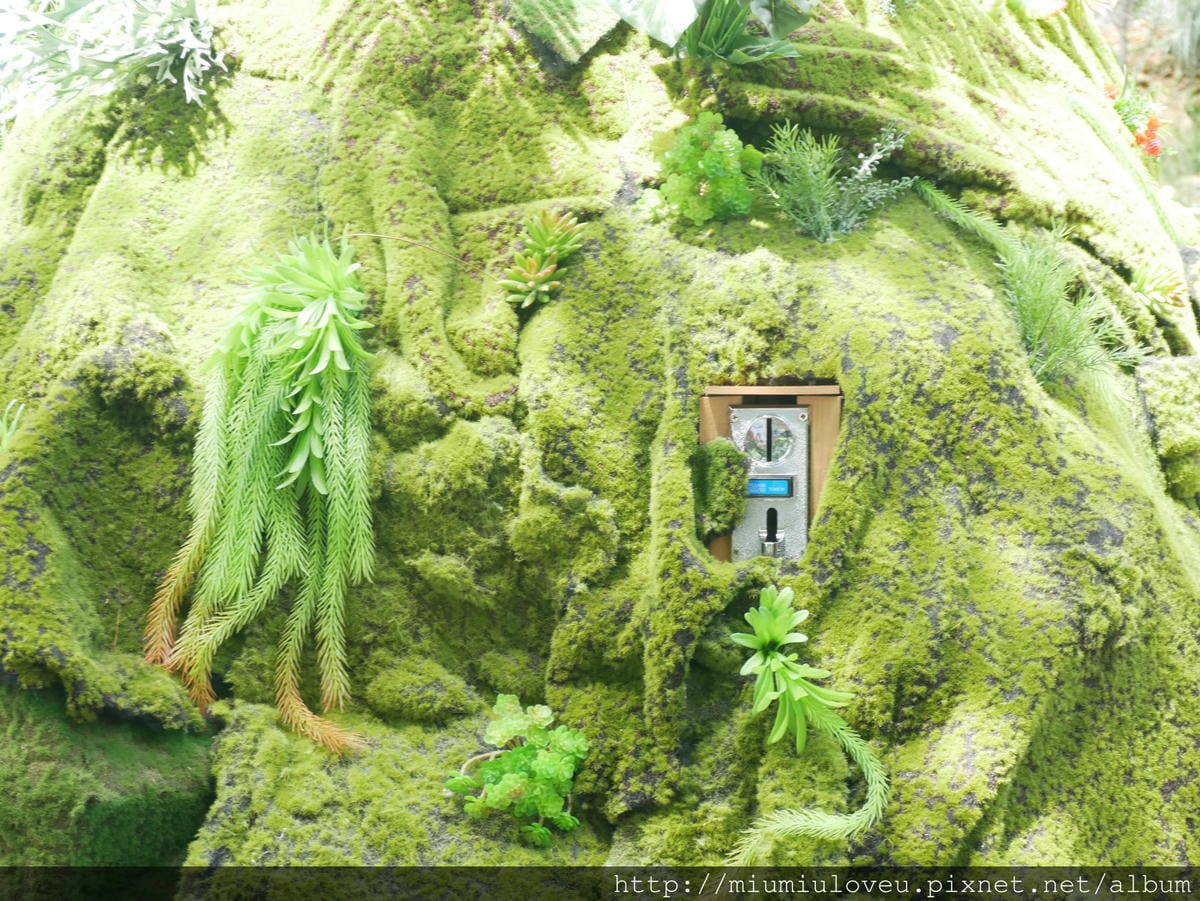 P1170289 - 複製_meitu_21.jpg P1170289 - 複製_meitu_21.jpg